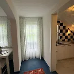 Apartment Wieseneck - - Inklusive Sommercard! Ramsau am Dachstein