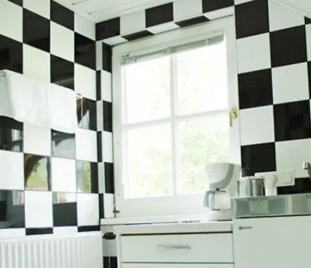 Wieseneck - - Direkt An Der Loipe! شقة رامساو أم داتشستين