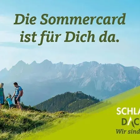 Διαμέρισμα Wieseneck - - Inklusive Sommercard !