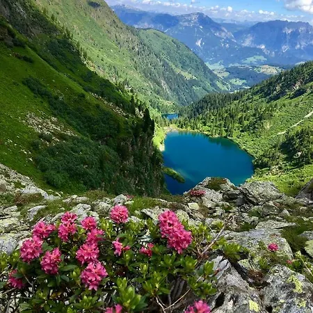 Wieseneck - - Direkt An Der Loipe! شقة *