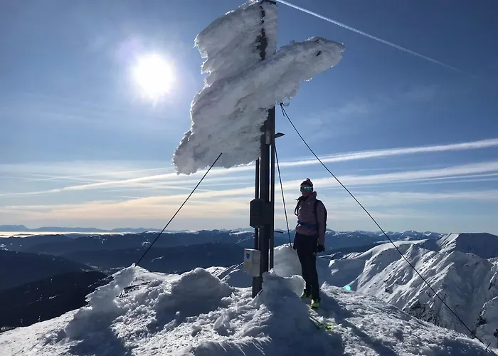 Appartements Wieseneck - Ramsau Am Dachstein - Inklusive Sommercard! Lejlighed Ramsau am Dachstein