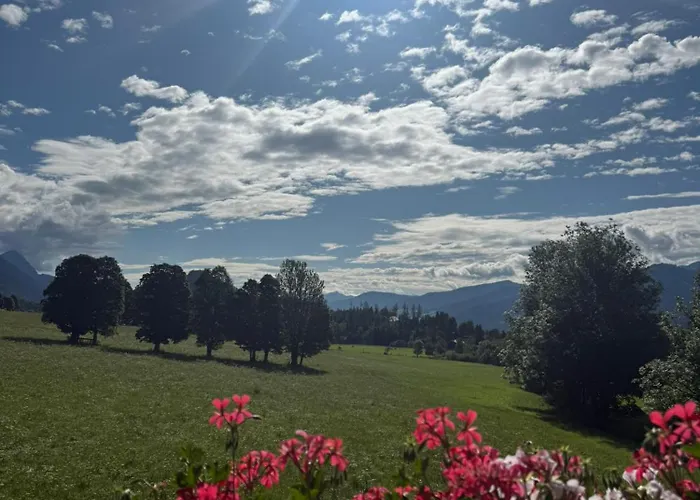 Appartements Wieseneck - Ramsau Am Dachstein - Inklusive Sommercard! Lejlighed *